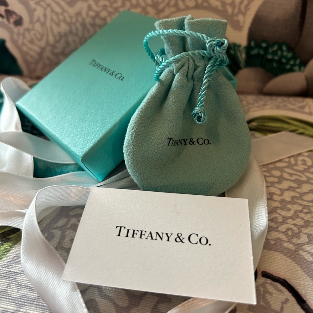 NEW Tiffany New Orleans Postcard charm